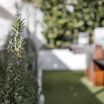 Monkeys Luxury Triana House